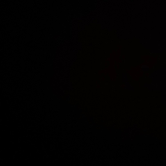 Meet your Posher, Gabi - Picture 1 of 1